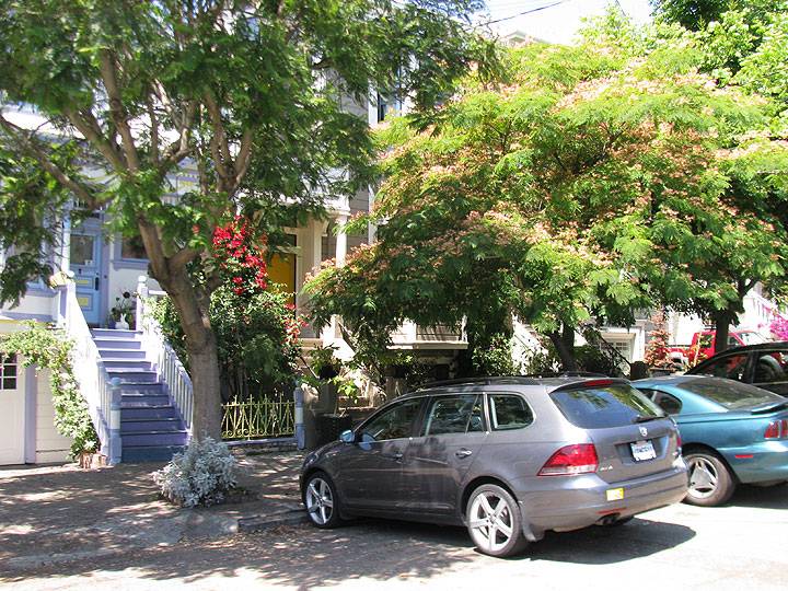 File:Dogpatch-Minnesota-St-victorians-and-street-trees-2012 9922.jpg