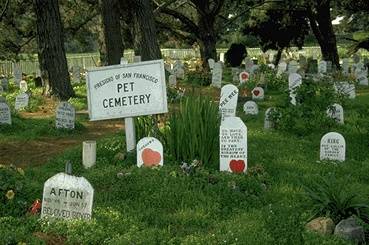 File:Presidio$pet-cemetery-ii.jpg