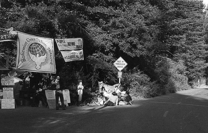 Bohemian-grove-gate-pic-1.jpg