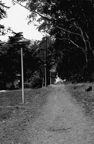 Presidio$lovers-lane-photo.jpg