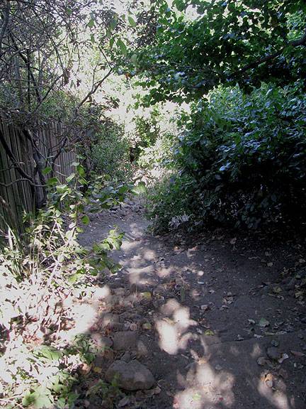 File:Garden-path-19th-and-Carolina 0448.jpg