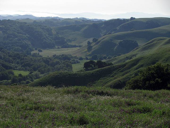 File:Briones-Regional-Park-valley 7242.jpg