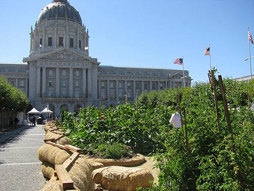 Victory-garden-w-city-hall-aug-08 3695.jpg