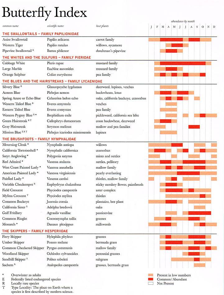 Butterflies index.jpg