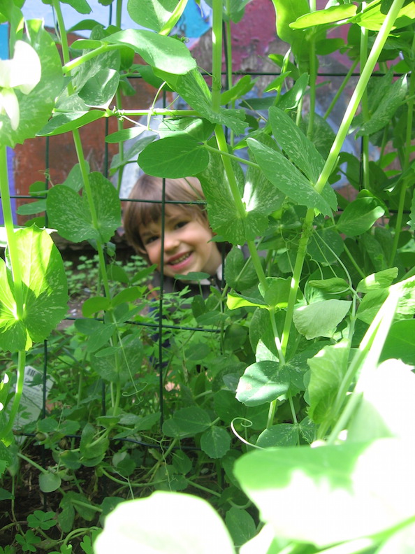 Carmelo behind plants at Jardín Secreto IMG 9318.JPG