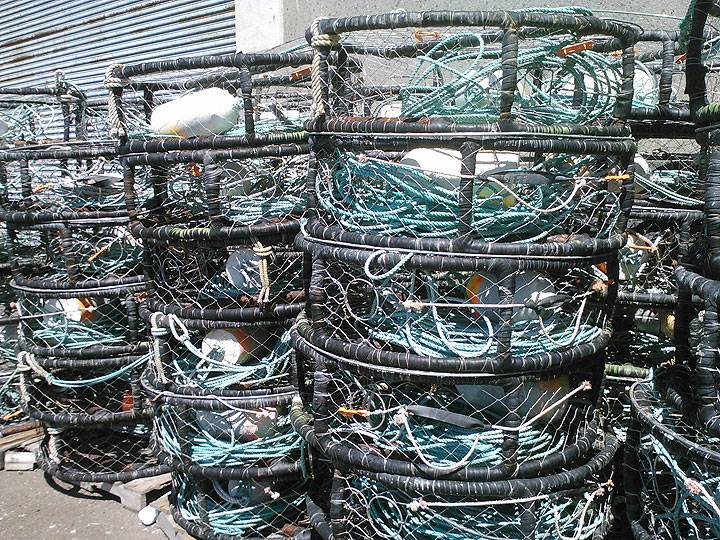 File:Crab-nets-245.jpg