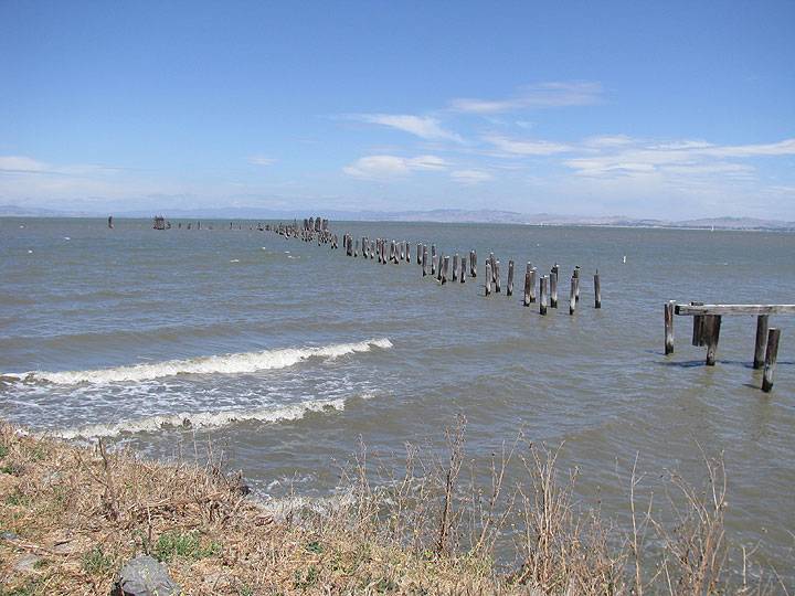 Giant-powder-crumblng-dock-at-pt-pinole 8945.jpg