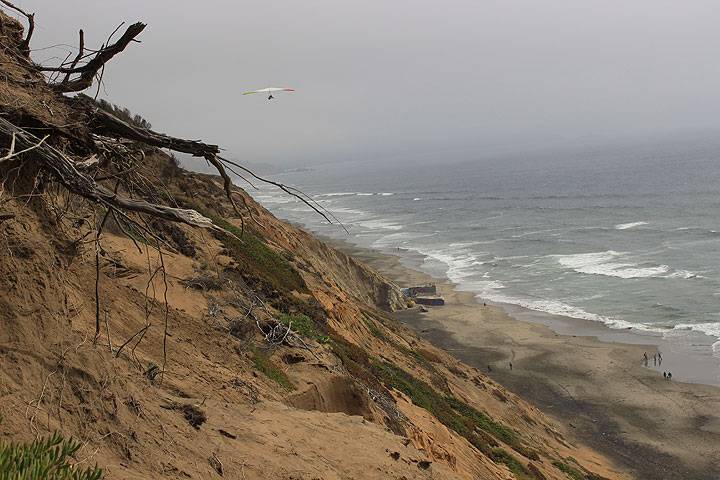 File:Hang-glider-off-Ft-Funston-with-cliffs 2889.jpg