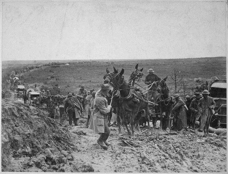 File:Mules WWI St. Mihiel France.jpg