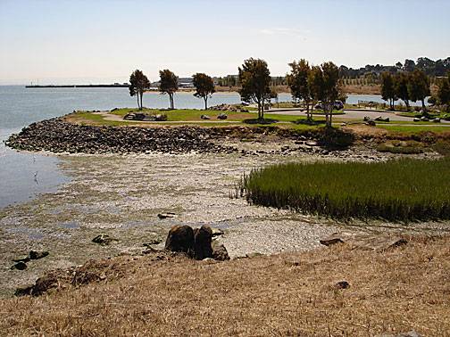 India-basin-park0907.jpg