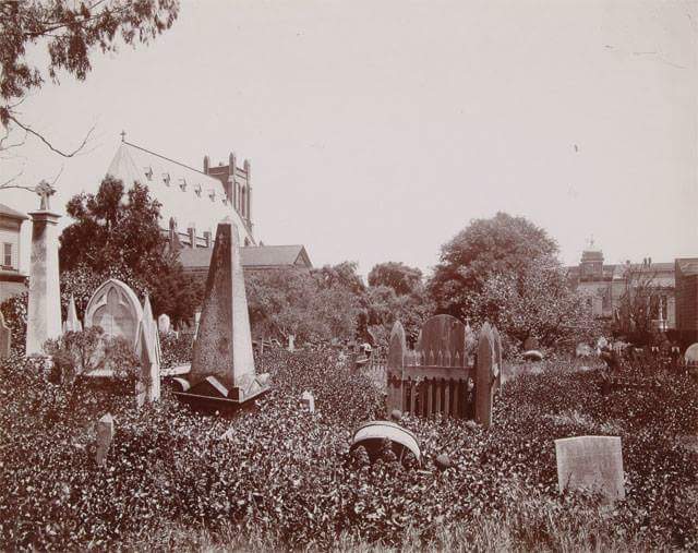 Misson Dolores cemetery late 1800s.jpg