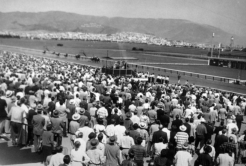 File:Tanforan-horse-race-crowd 5501.jpg