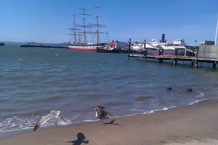 Balclutha-w-aquatic-park-beach-and-seagulls-0290.jpg