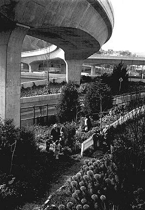 File:Ecology1$farm-under-freeway.jpg