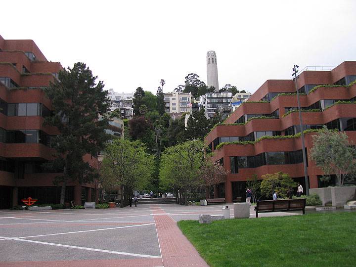 View-towards-Coit-Tower 6906.jpg