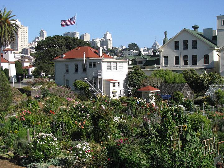 Ft-mason-garden-w-russian-hill-and-flag 1206.jpg