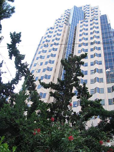 File:Tree-and-bottlebrush-in-front-of-1st-street-highrise 2274.jpg