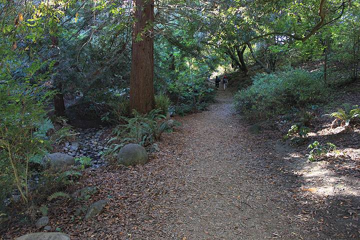 AIDS-grove-path 4494.jpg