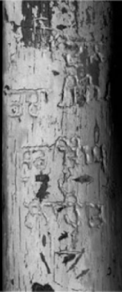 File:Ghadar Tara Singh Inscription.png