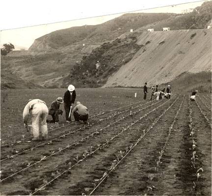 File:Portola garden project 1941 AAK-0627.jpg