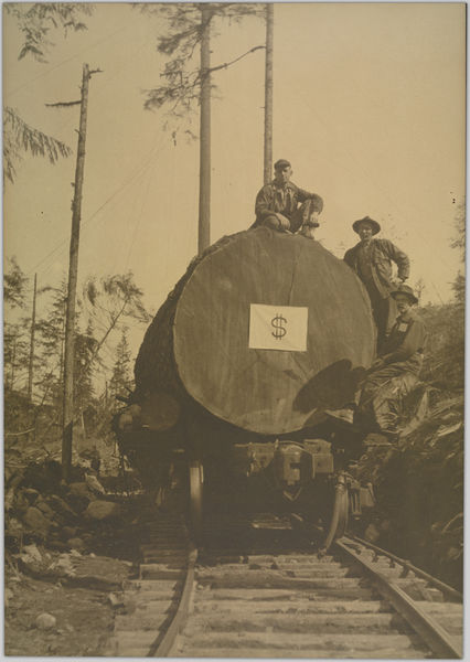 File:Robert Dollar Company Timber (13225881393).jpg