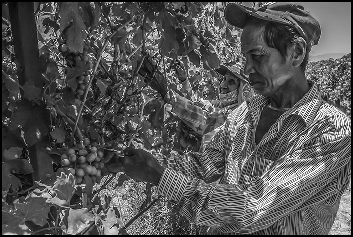 File:Dnb filipino farmworkers 03.jpg