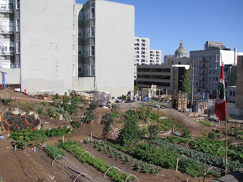 File:Free-farm-at-gough-and-eddy-sept-2010 9064.jpg