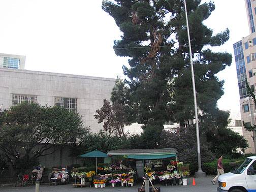 File:Flower-stand-and-right-side-park 2298.jpg