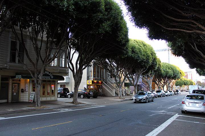 File:Victorians-set-back-on-fillmore-near-post 0169.jpg