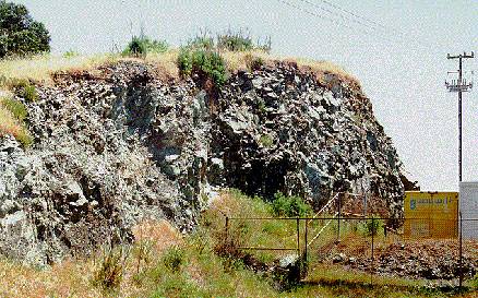 File:Irish-hill-stump-cu.jpg