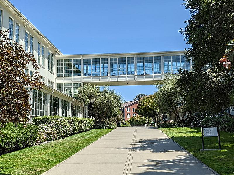 File:Lucas-skybridge 20210709 212810005.jpg