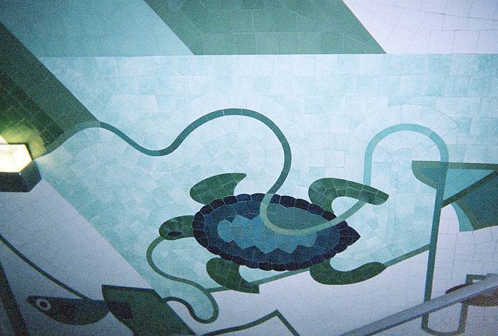 Marime-Museum-Floor-Turtle---Good.jpg