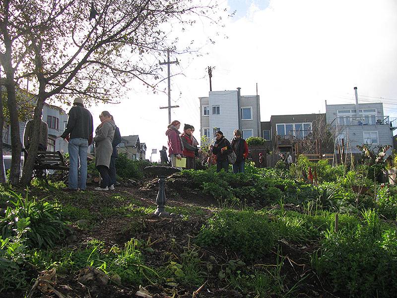 File:Rhode-Island-perma-garden-2010 5178.jpg
