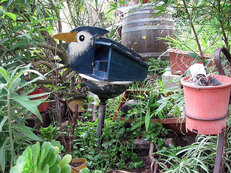 File:Als-bluejay-birdhouse 0878.jpg