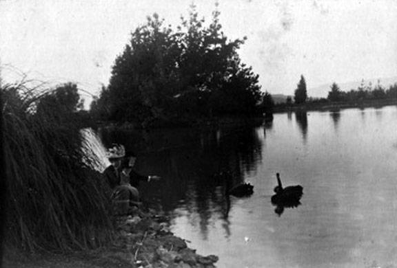 File:Knights-of-Pythias-1901-02 Ducks-and-women-at-lake 20.jpg