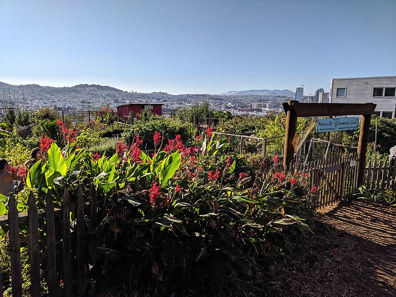 File:Potrero-Hill-Community-Garden 20190901 172006.jpg