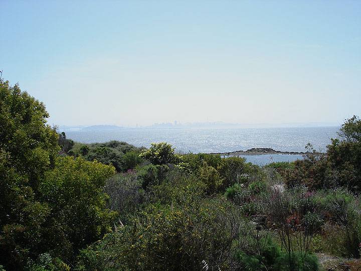 File:McLaughlin-Eastshore-Park-Albany-bulb-view-of-SF-6943.jpg