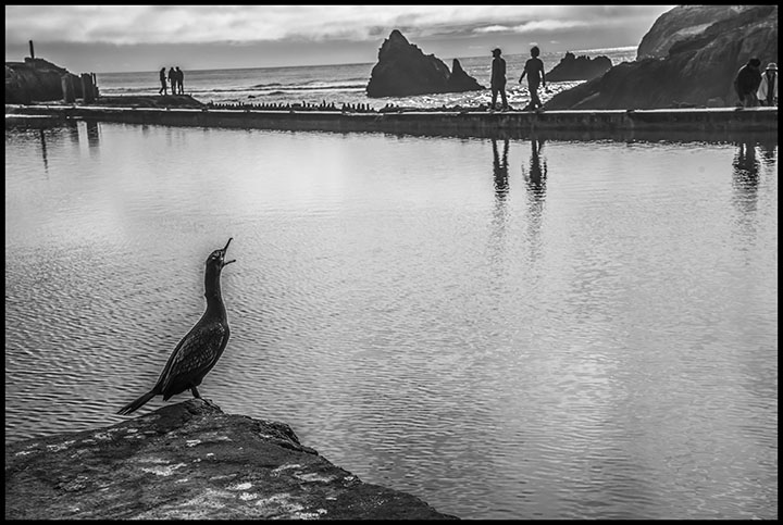 File:Dnb2026sutrobaths18.jpg