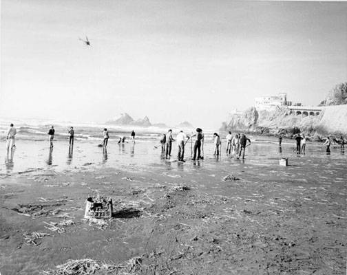 File:Oil spill cleanup ocean beach 1971 AAB-9967.jpg