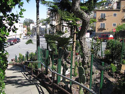 File:Clayton-corbett-garden-w-intersection-behind 9971.jpg