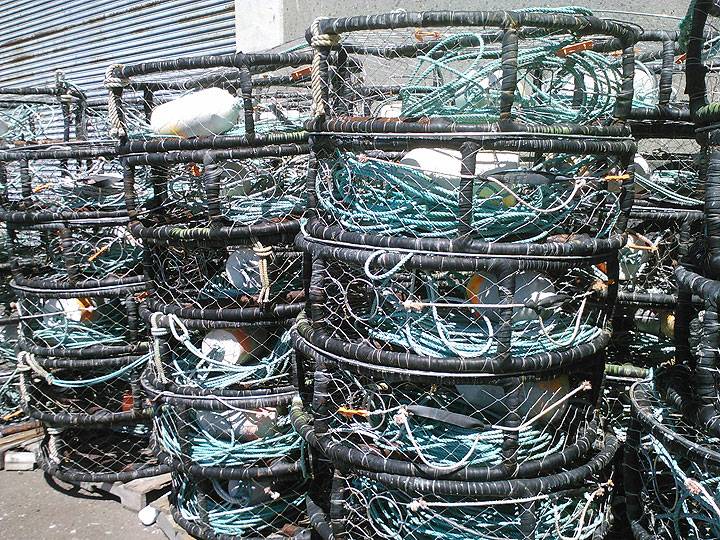 https://www.foundsf.org/images/4/4d/Crab-nets-245.jpg