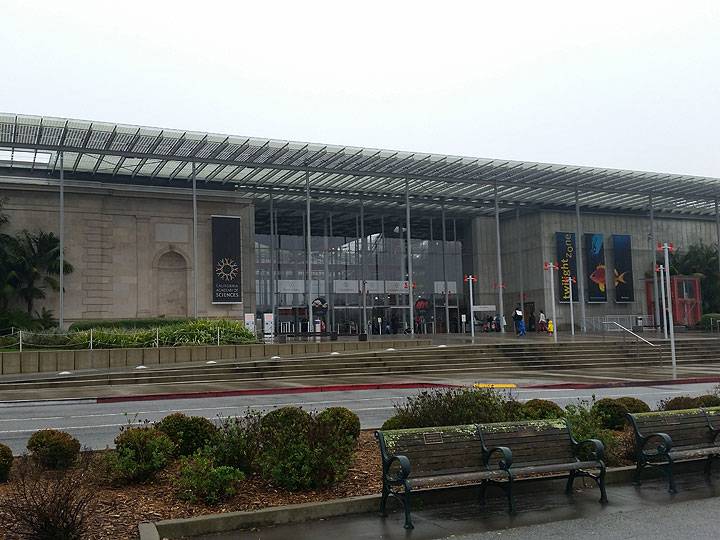 File:Academy-of-Sciences-closer 20170207 100546.jpg