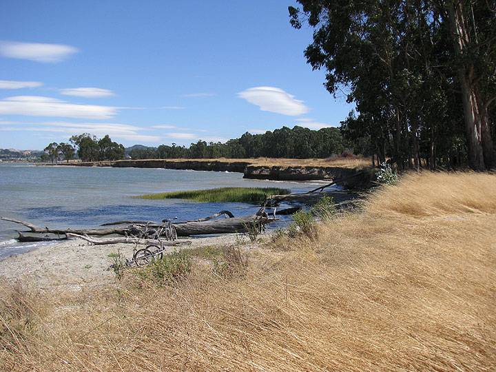 Pt-Pinole-north-shore-cliffs 8973.jpg