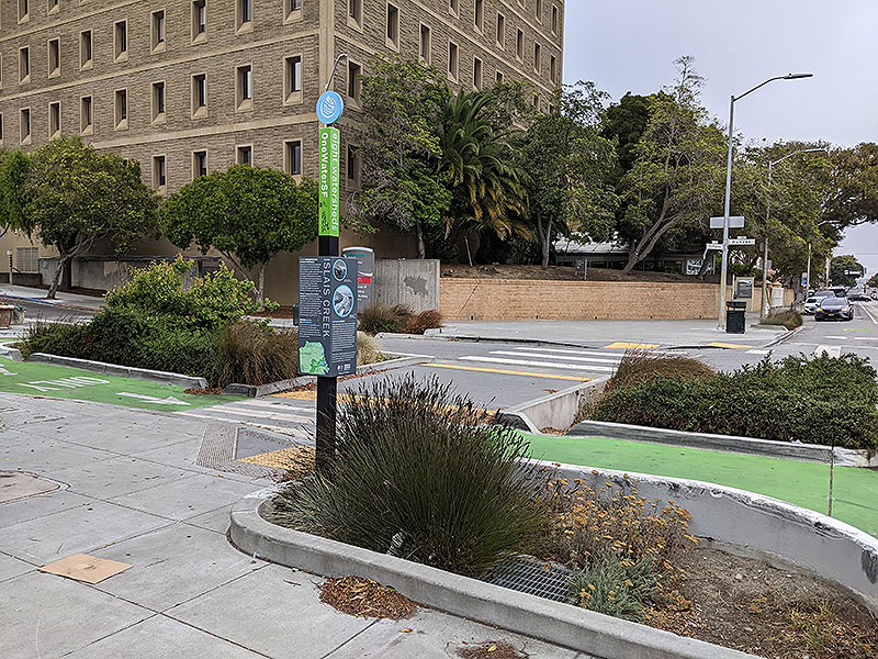 File:St-lukes-w-green-infrastructure-at-29th 20230707 012916666.jpg