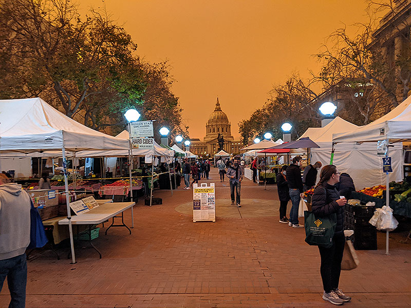 File:11-47-am-Farmers-Market 20200909 114741.jpg