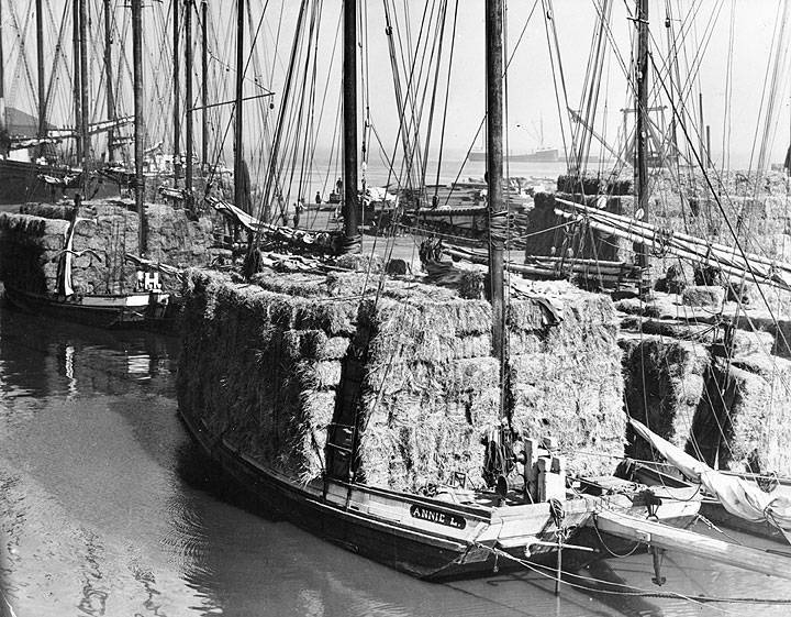 Annie-L-scow-schooner-with-load-of-hay-A12.5.017pl.jpg