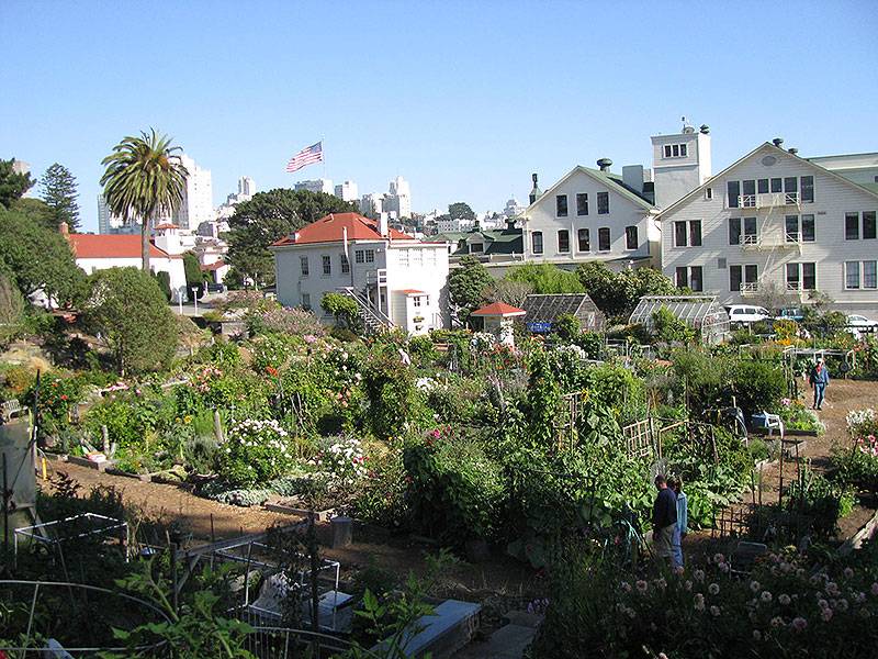 File:Fort-Mason-Community-Garden-Aug-2009 1205.jpg