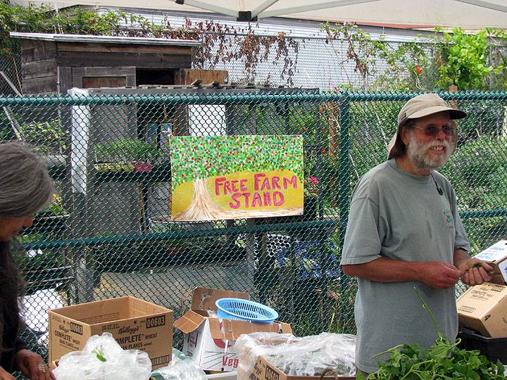 File:Free-farm-stand-w-sign-and-tree 7960.jpg