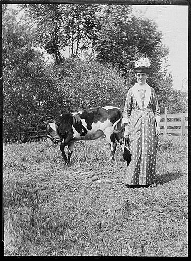 File:Mrs-williams-and-cow 300dpi.jpg