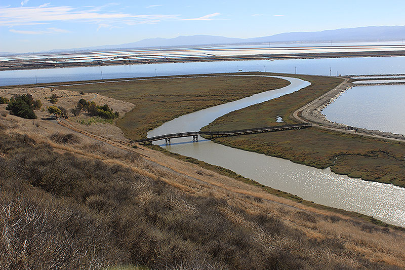 File:Salt-ponds-and-restored-wetlands-2014 5833.jpg